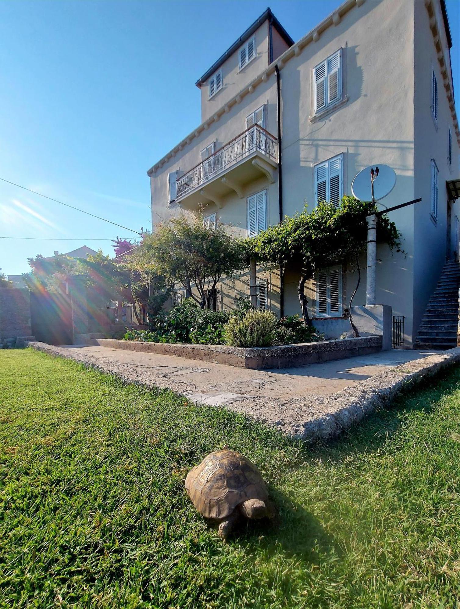Dubrovnik Heritage Apartments 외부 사진